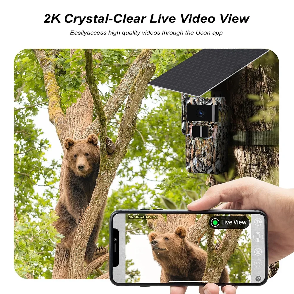 PEGATAH 4G كاميرا تعقب تعمل با - مراجعة Outdoor Hunting Pictures وسعره