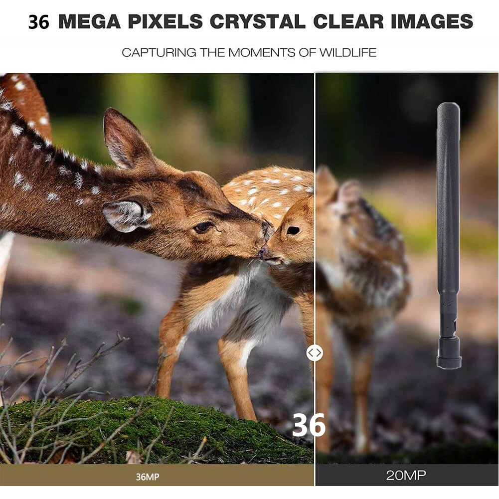 كاميرا الصيد الخارجية HC-801Pr - مراجعة Outdoor Hunting Pictures وسعره